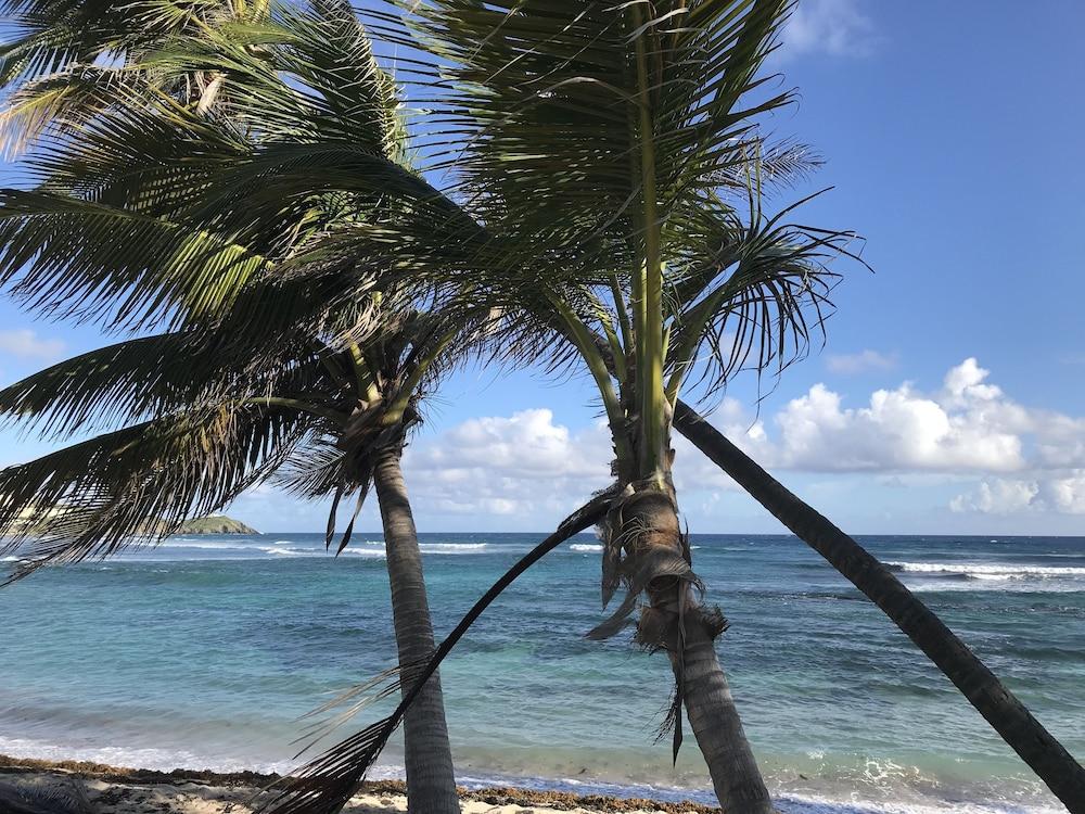 The Palms At Pelican Cove (Adults Only) La Grande Princesse Εξωτερικό φωτογραφία