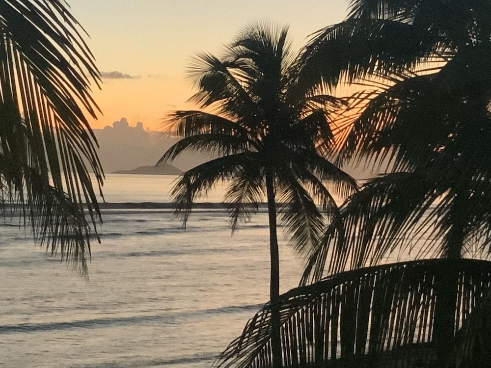 The Palms At Pelican Cove (Adults Only) La Grande Princesse Εξωτερικό φωτογραφία